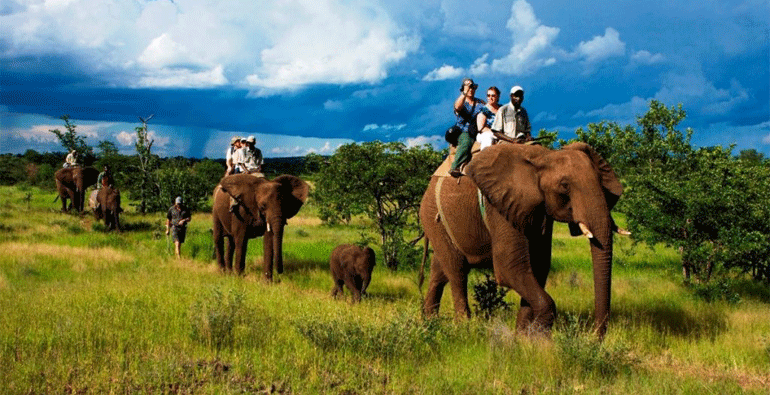 Ranikhet Corbett Tour Package